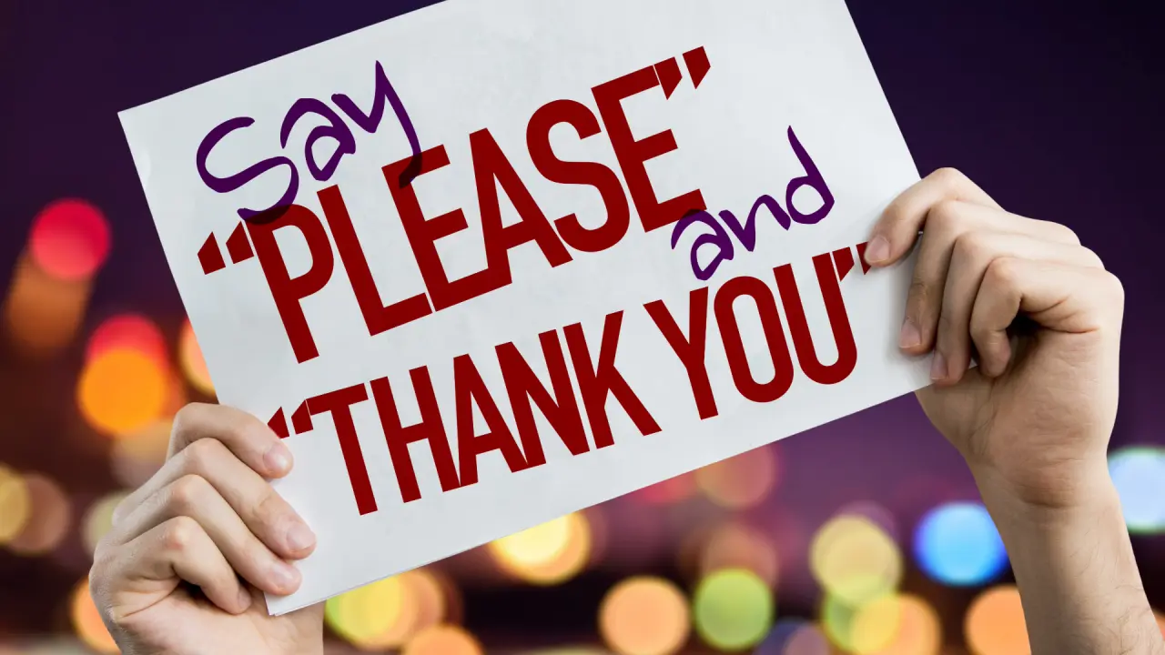 Say Please and Thank You placard with night lights on background.